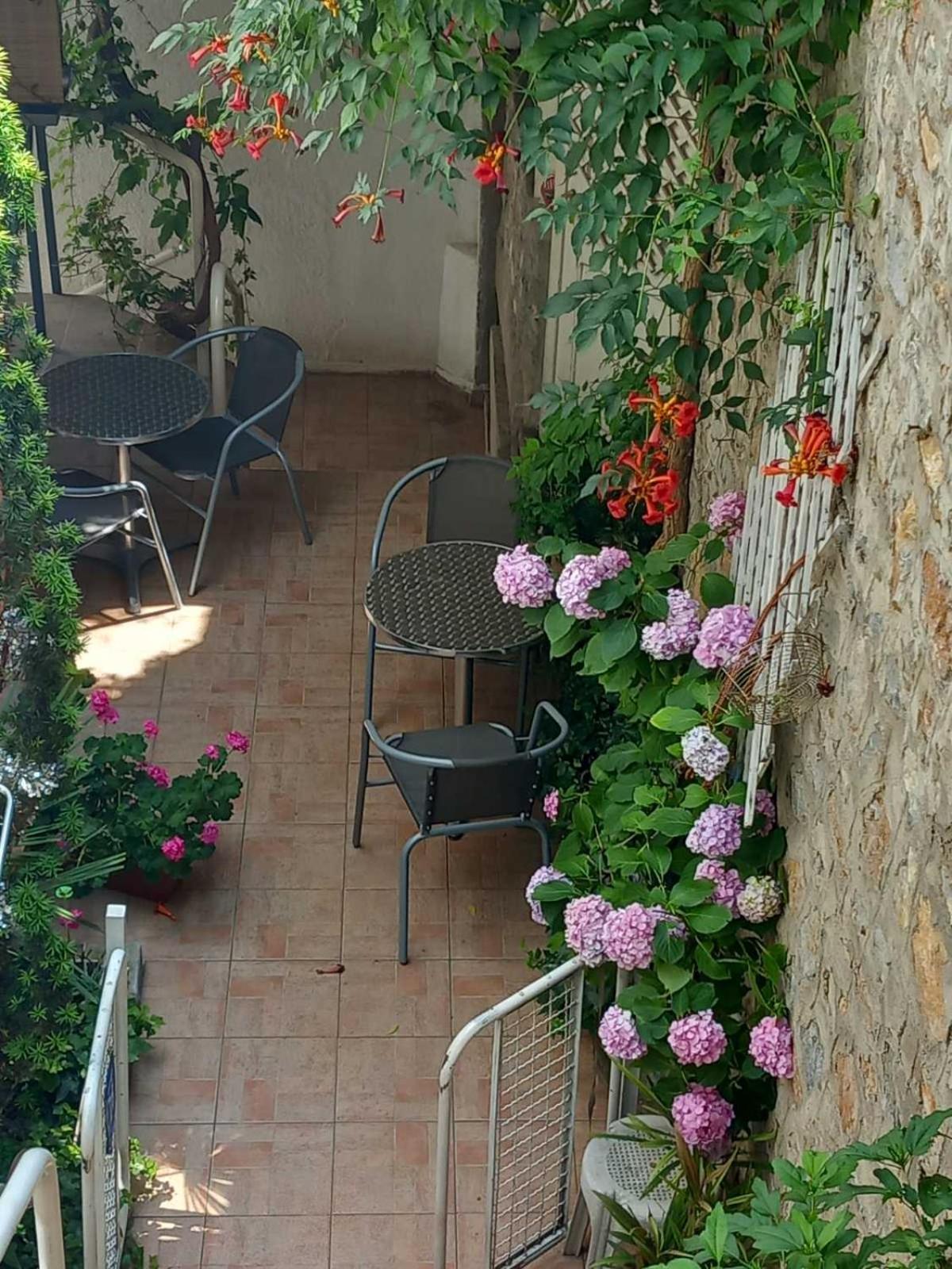 Vila Kosta City Center Port Ohrid Exteriör bild