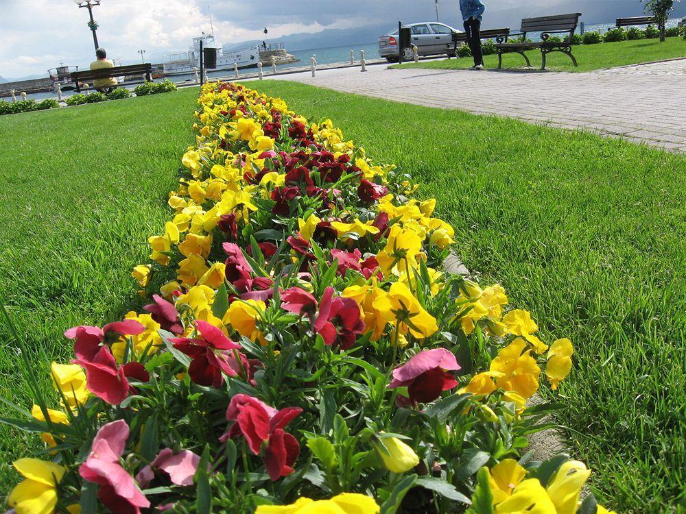 Vila Kosta City Center Port Ohrid Exteriör bild